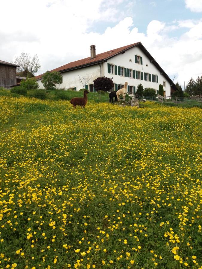 Apartmán Ferme O'Cles Le Peuchapatte Exteriér fotografie